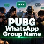 200 PUBG WhatsApp Group Names: Cool & Funny